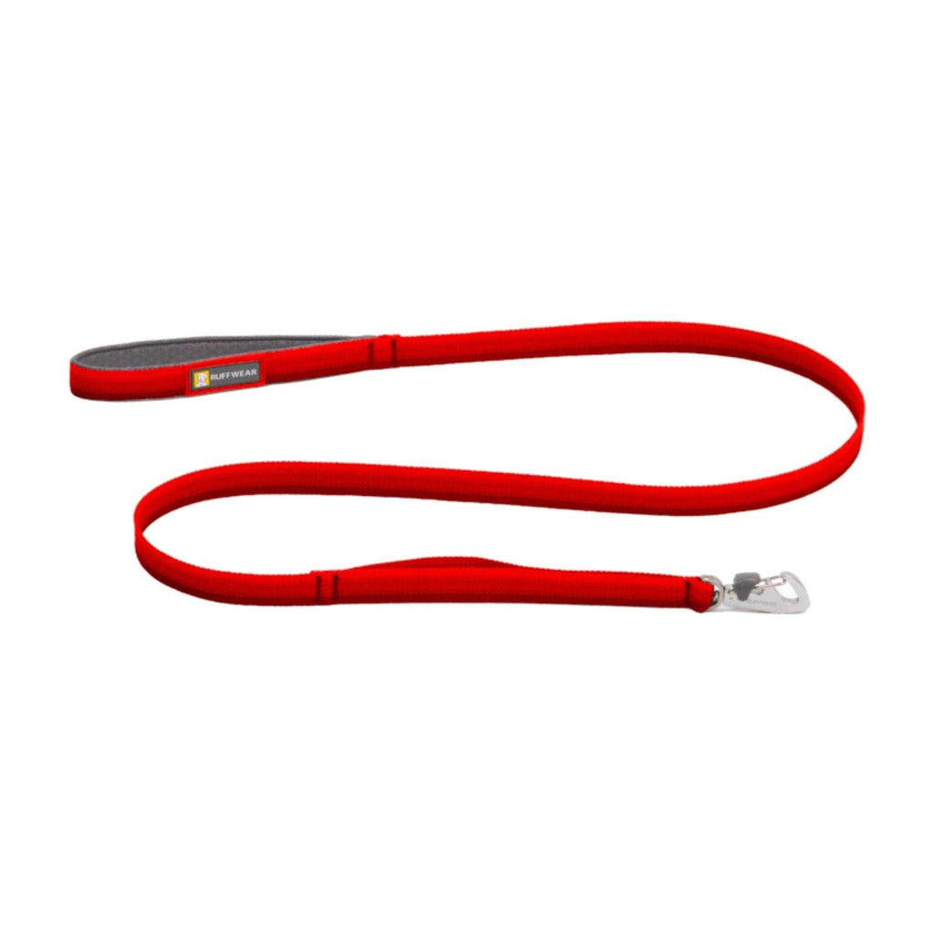 Leash C4252