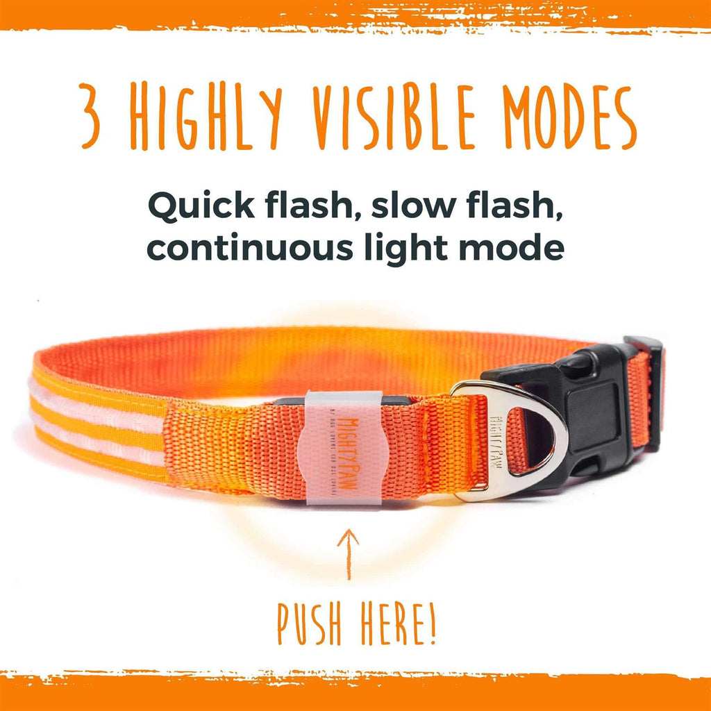 LED Dog Collar USB Rechargeable B929194