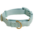 Martingale Dog Collar D597