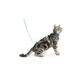 Kitten Harness & Lead Q275980