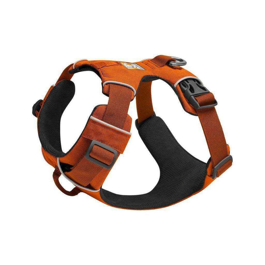 Harness F346