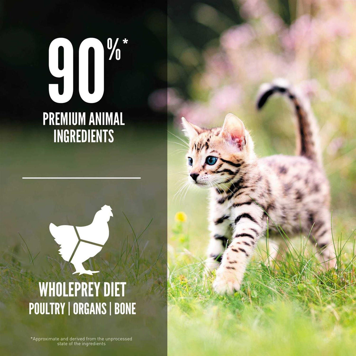 Dry Cat Food B5936