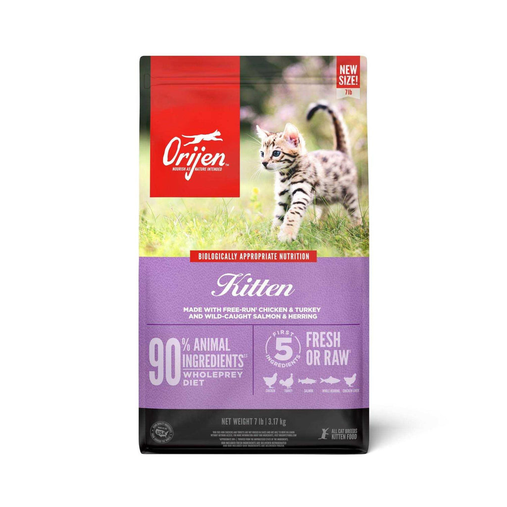 Dry Cat Food B5936