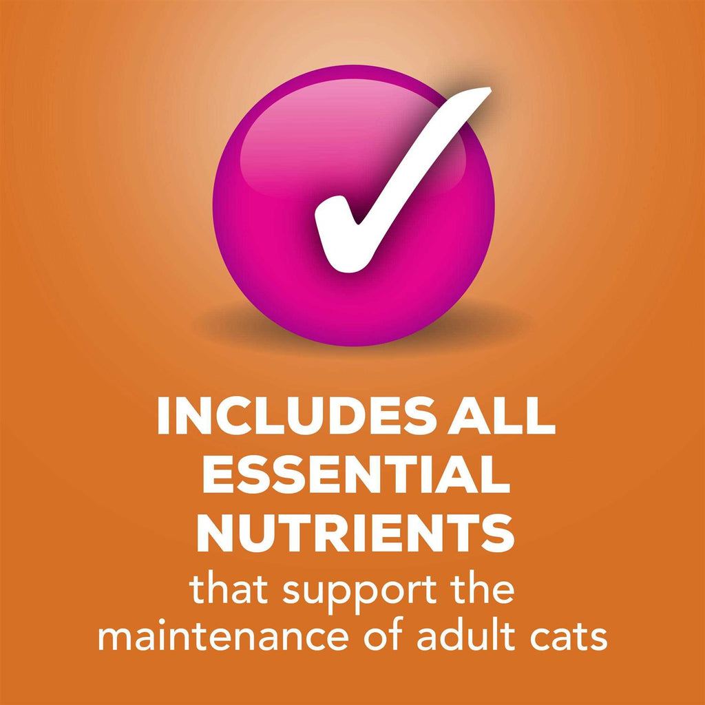 Pate Cat Food G706333
