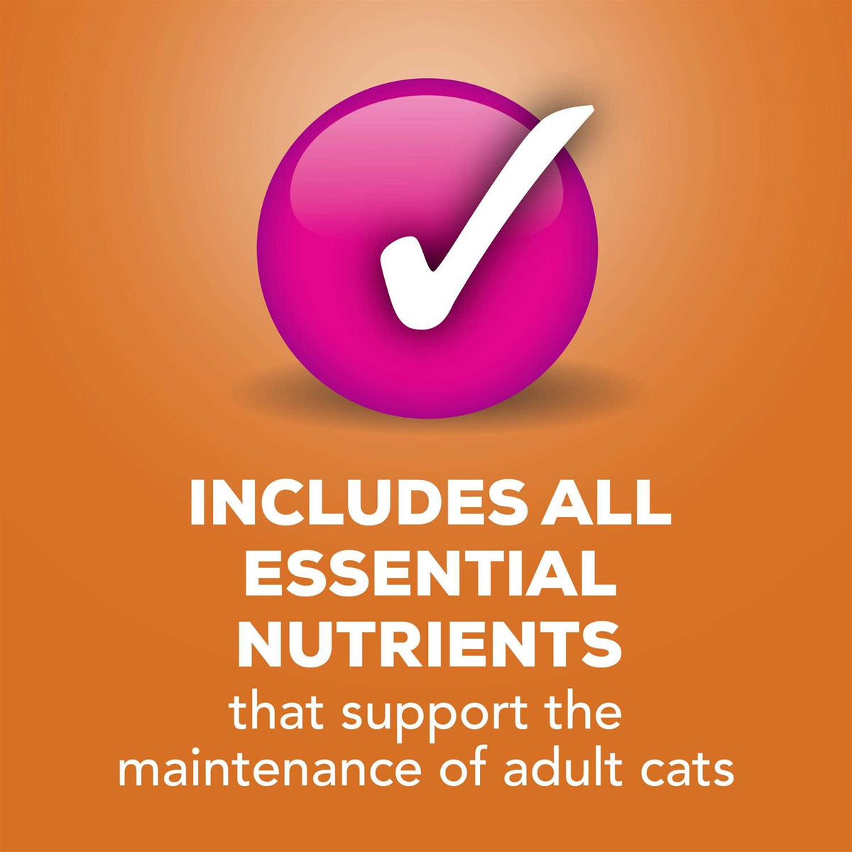 Pate Cat Food G706333