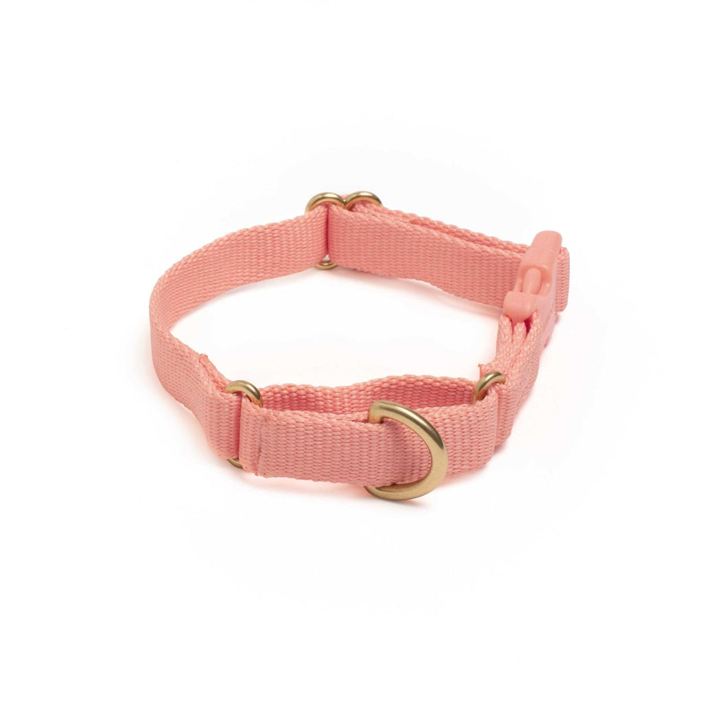 Martingale Dog Collar V59934