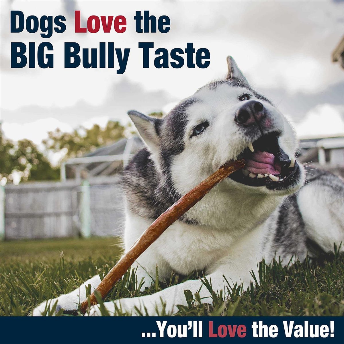 All-Natural Dog Chews N99666