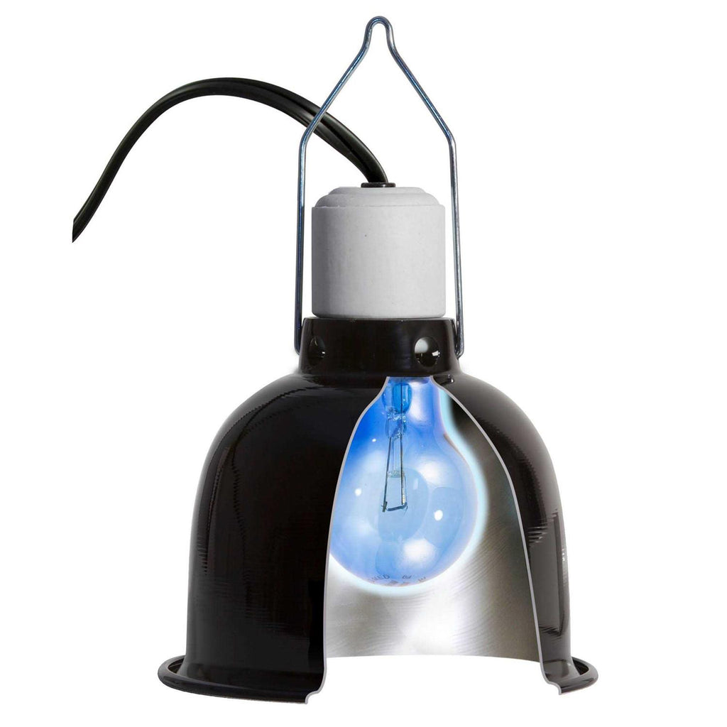 Daylight Blue Reptile Bulb P64515