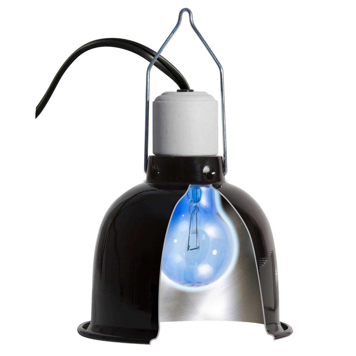 Daylight Blue Reptile Bulb P64515
