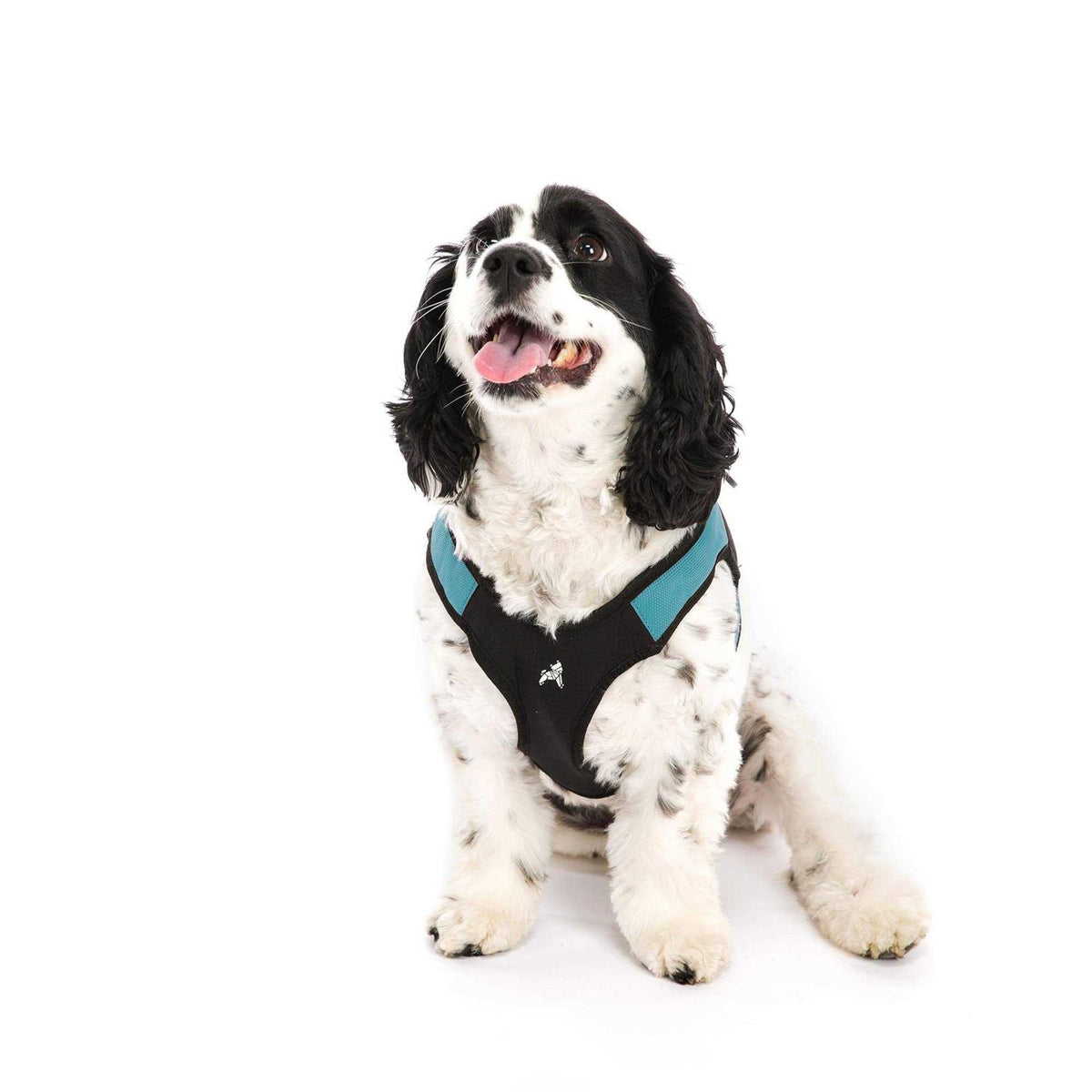 Dog Harness H86113