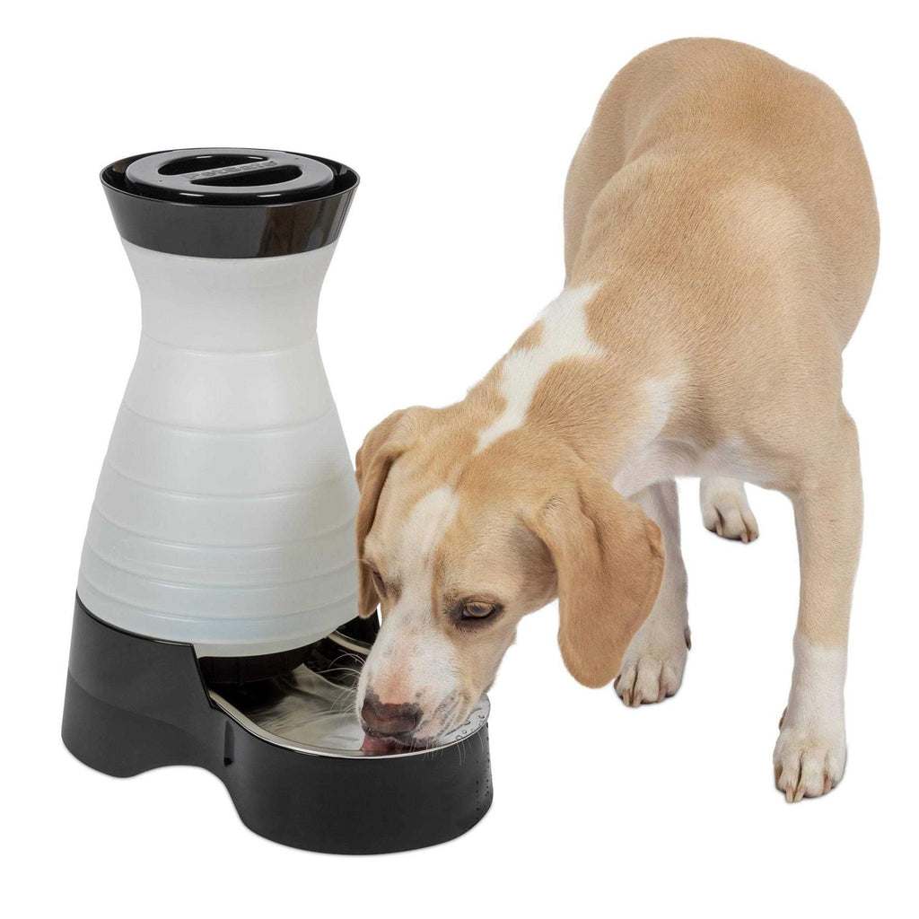 Healthy Pet Water Station G2160
