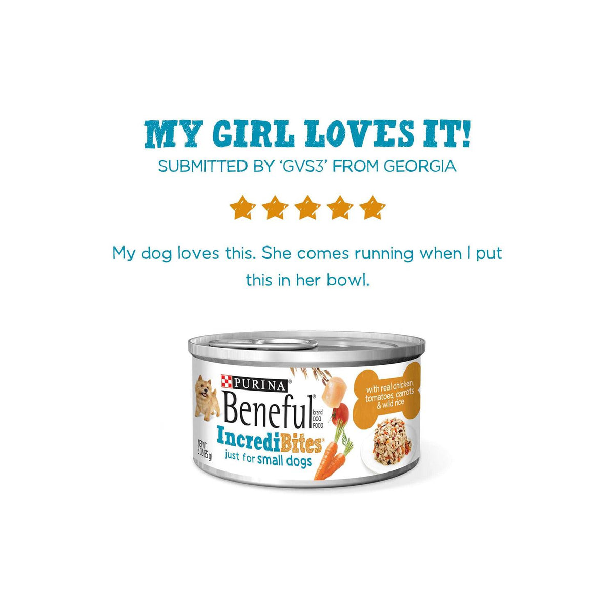 Wet Dog Food B597131