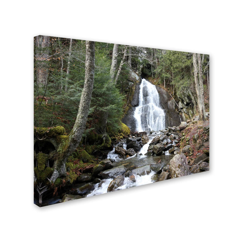 Canvas J17172