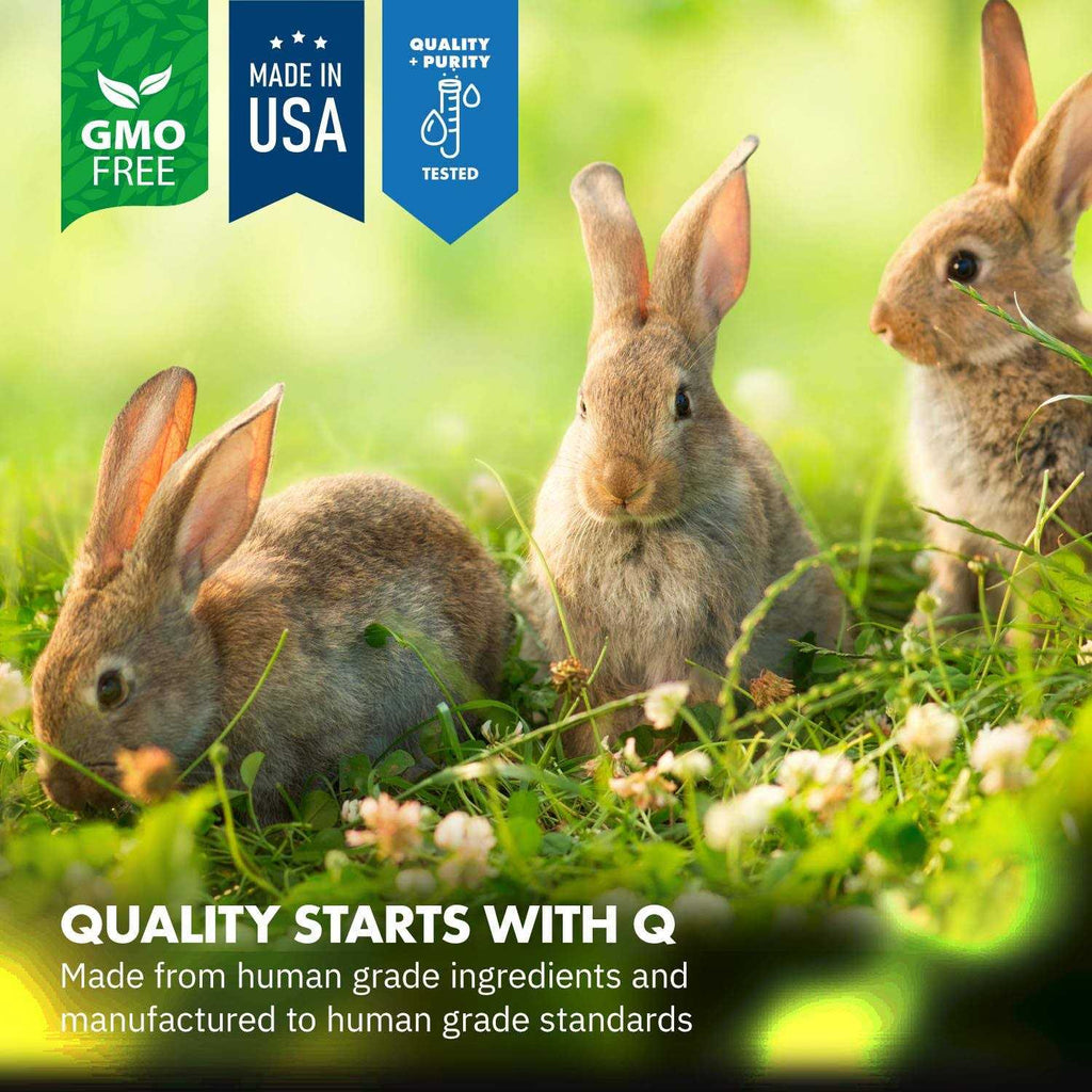 Probiotics Rabbit Supplement X625938