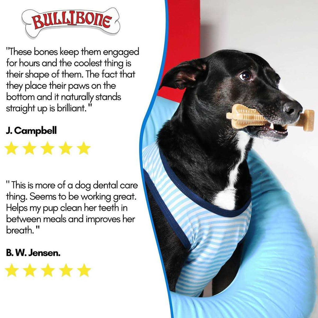 Nylon Dog Chew Toy R775900