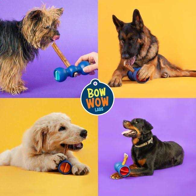 Bully Sticks K584