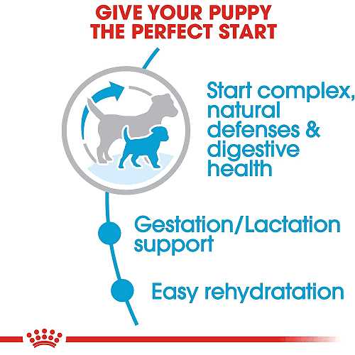 Dry Dog Food I99999