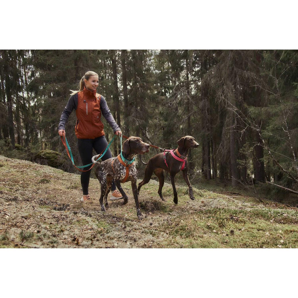 Dog Y-harness X3017