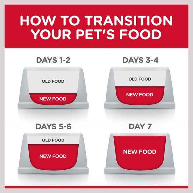 Chicken Adult 7+ Dog Food B8514