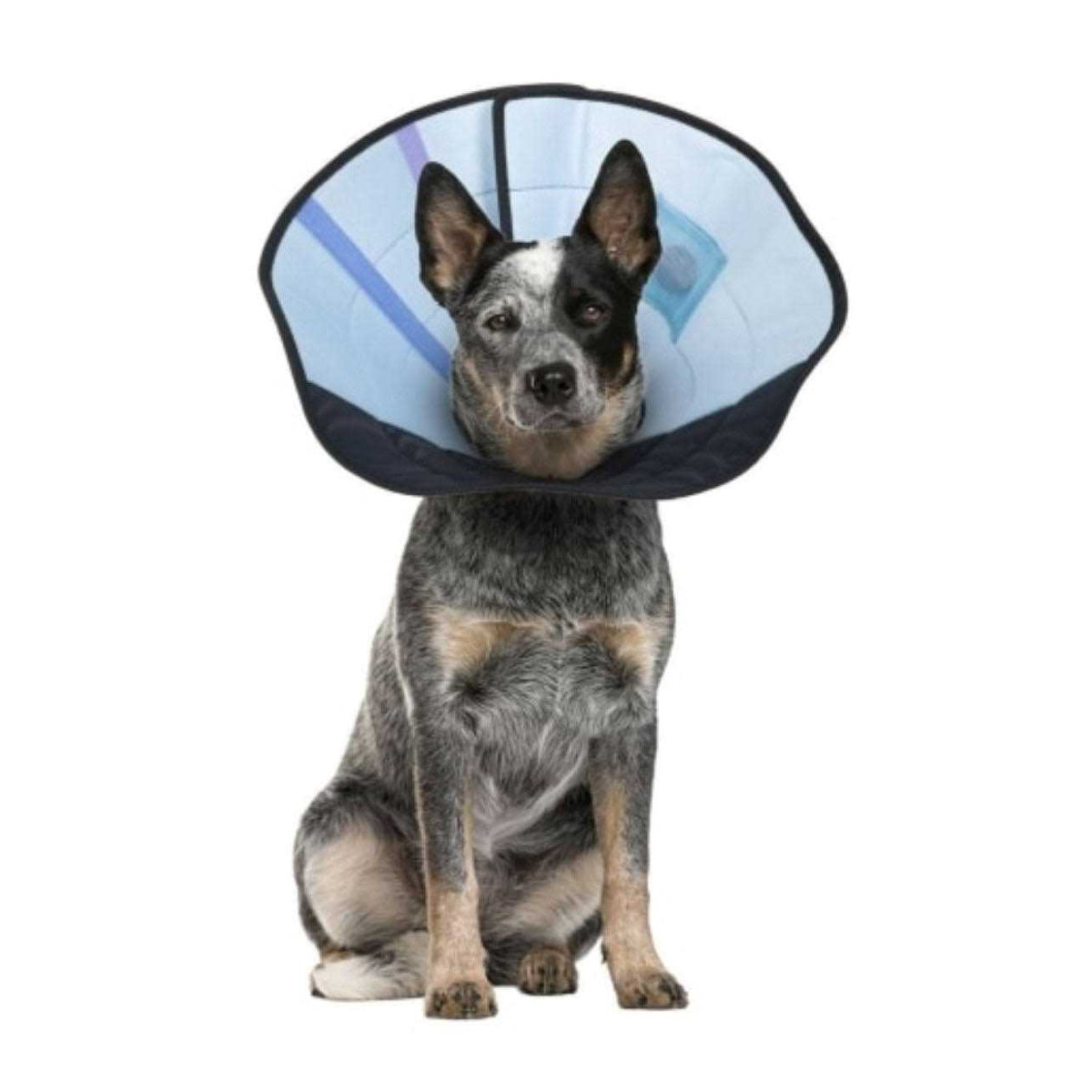 Dog Calming Collar D407