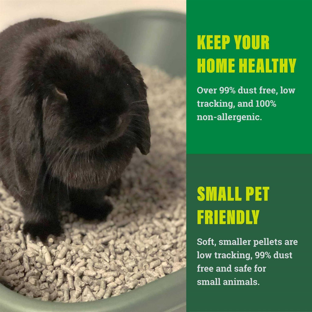 Small Animal Litter V287034