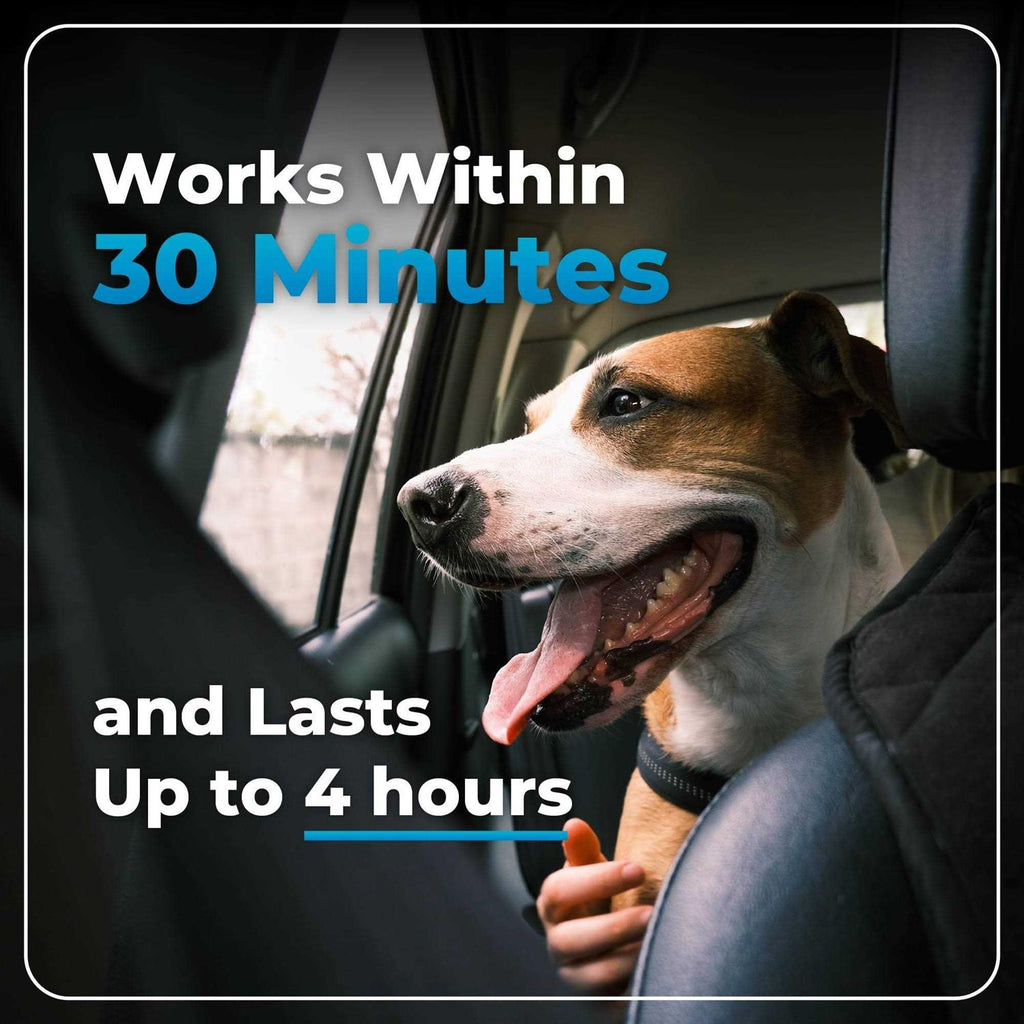 Calming Supplement for Dogs D89843