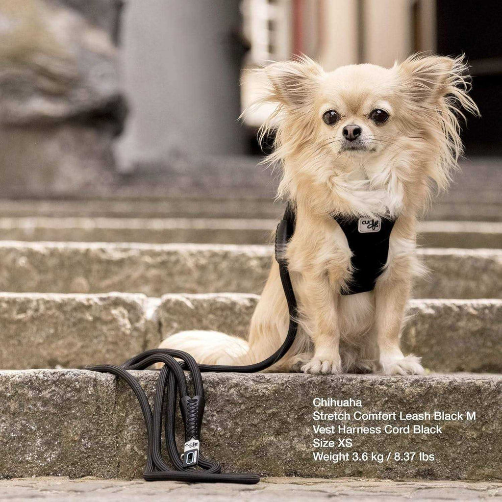 Comfort Leash P293178