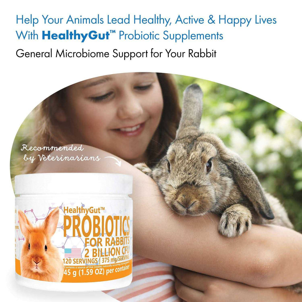 Probiotics Rabbit Supplement X625938