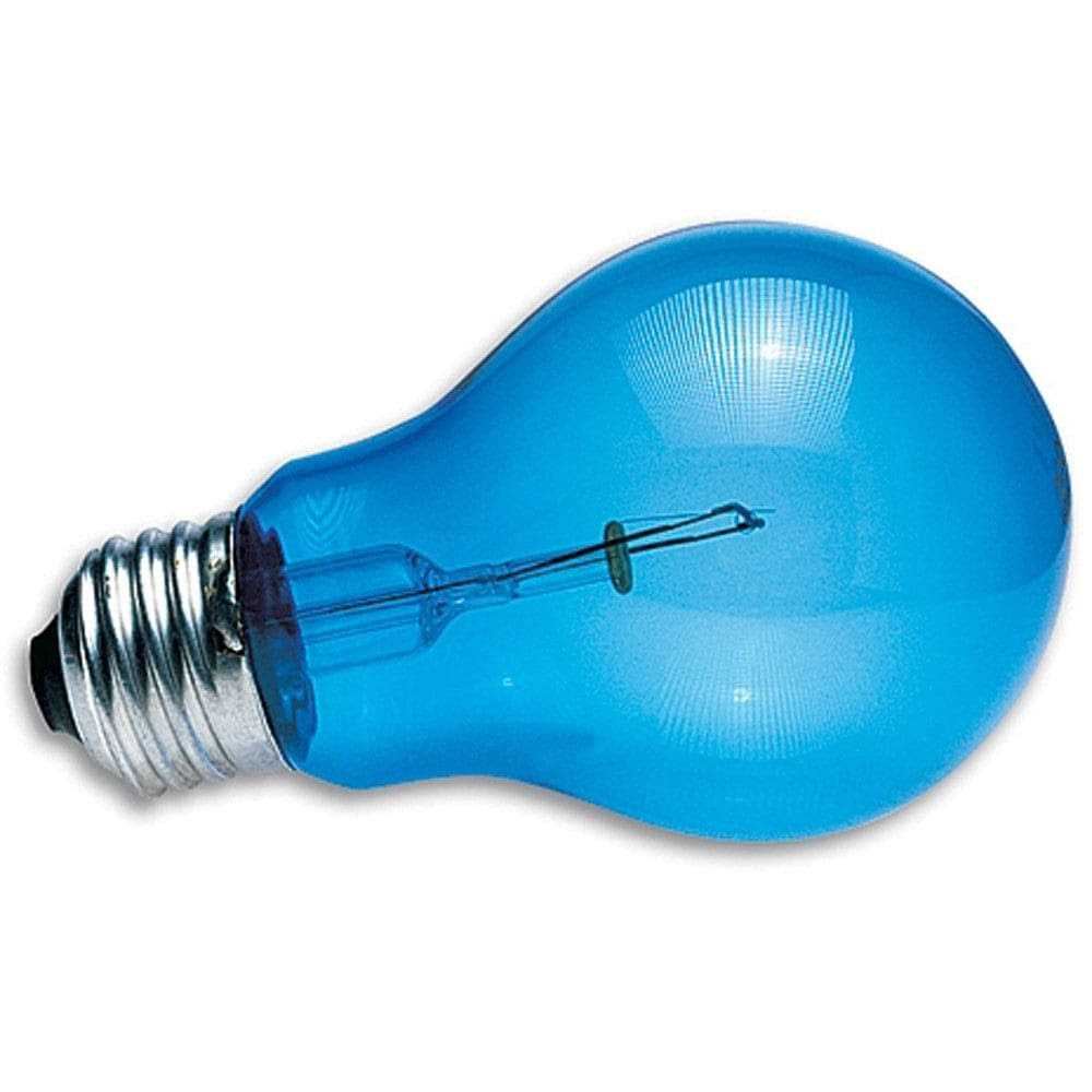 Daylight Blue Reptile Bulb P64515