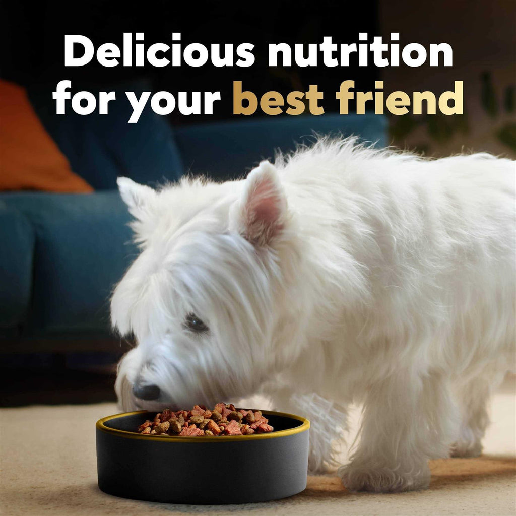 Spring Vegetables Dry Dog Food N250778