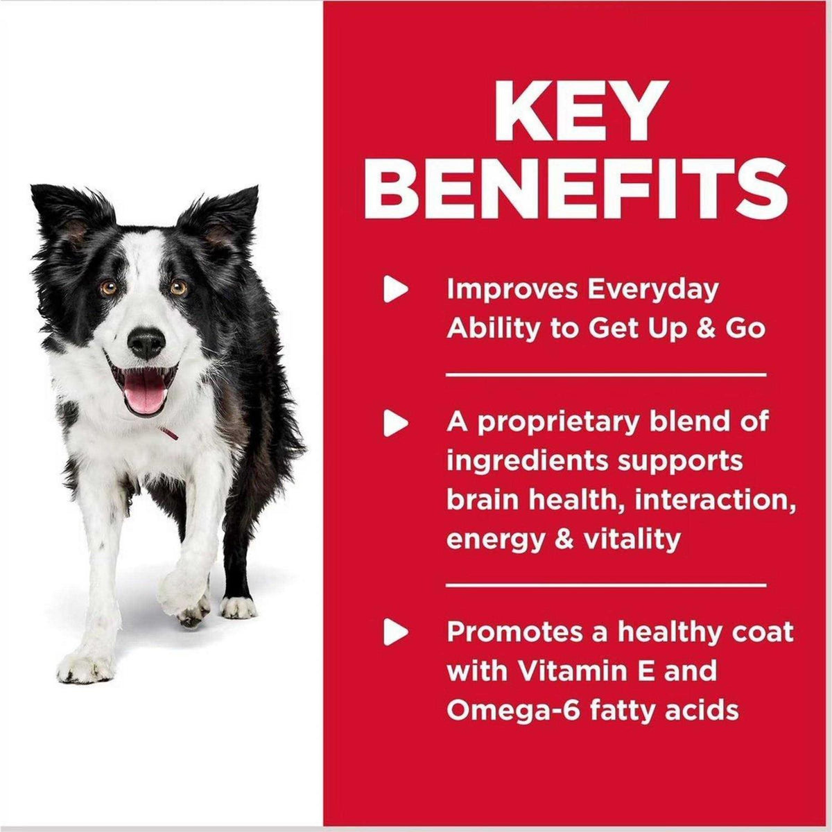 Chicken & Rice Dog Food V841