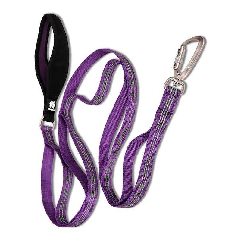 Heavy Duty Dog Leash J849796