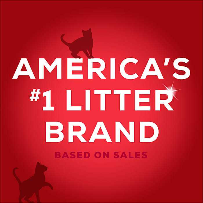Unscented Activated Charcoal Cat Litter C177418
