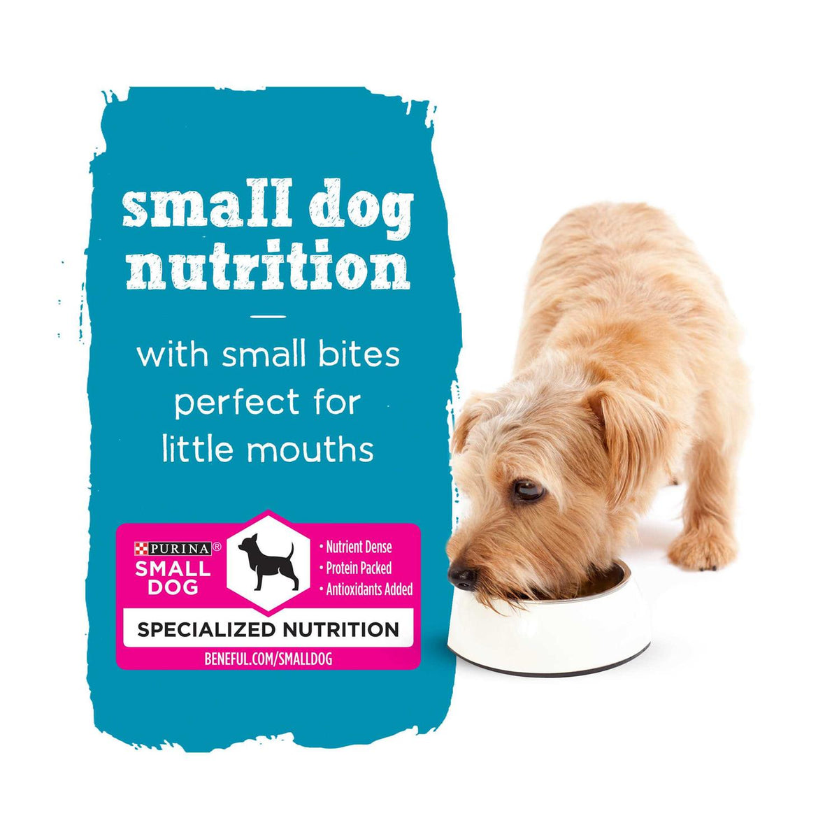 Wet Dog Food B597131