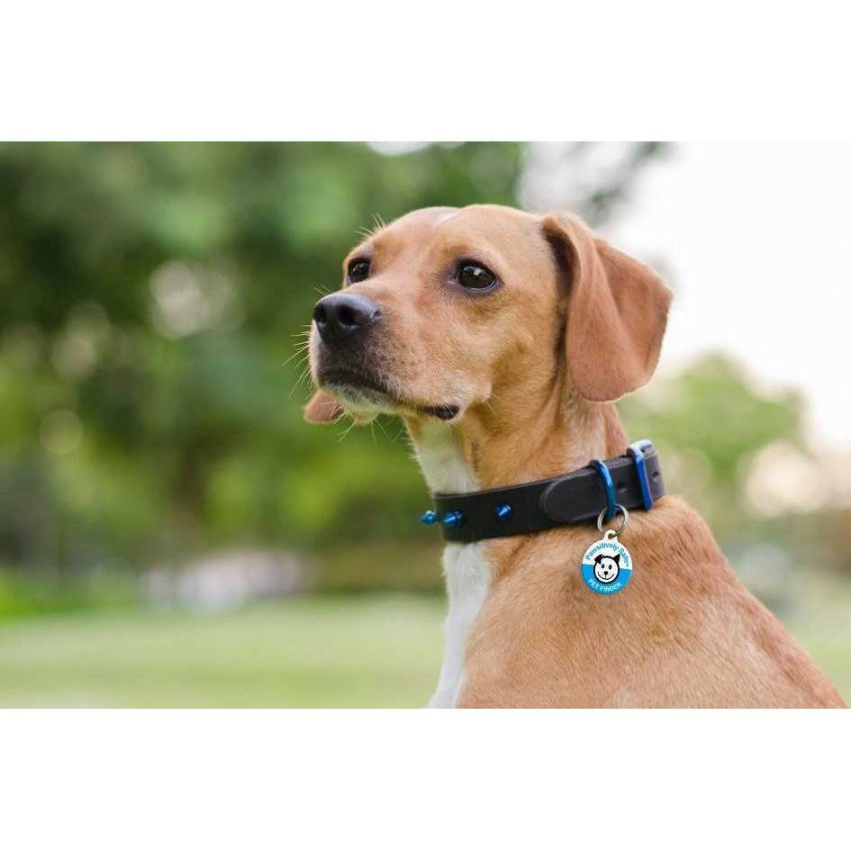 Dog Cat Pet Tag K7311