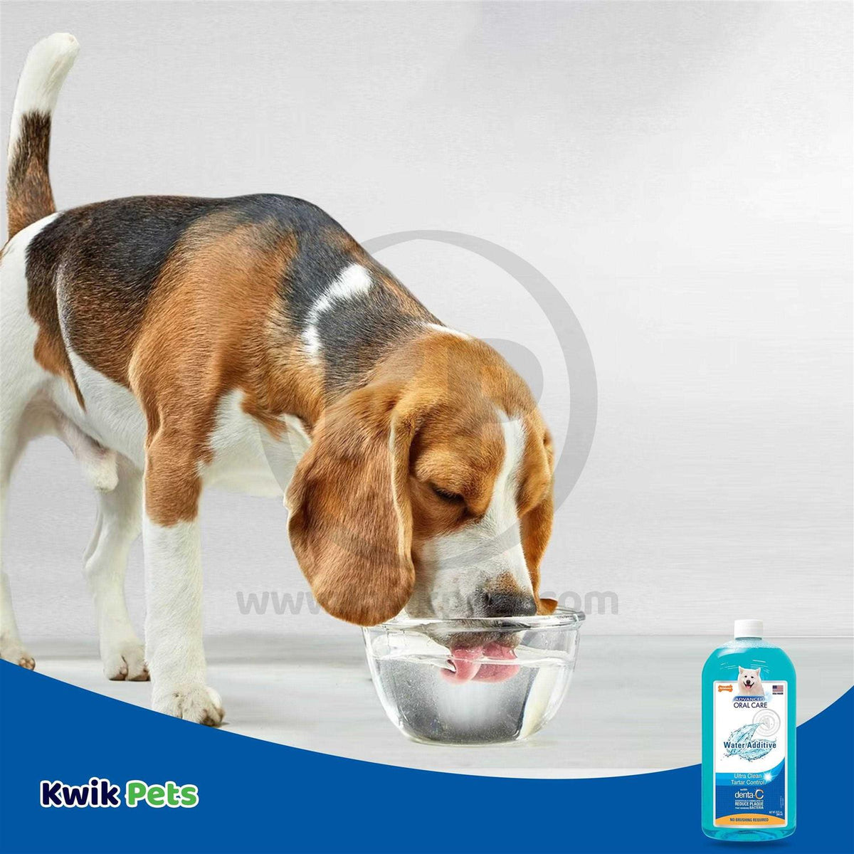 Liquid Tartar Remover Water Additive for Dogs Y401