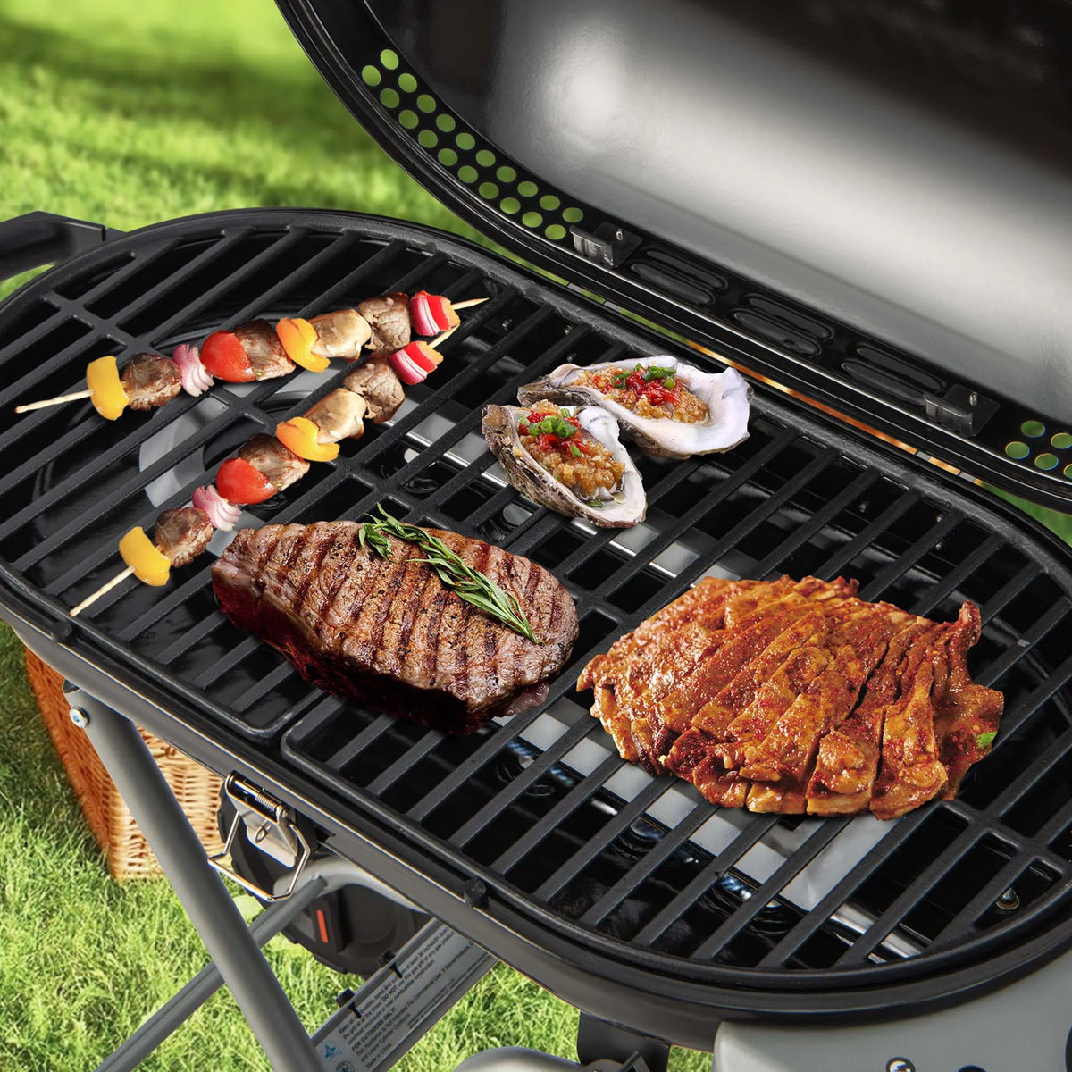 Portable Propane Gas Grill with Wheels & Side Shelf Z28209