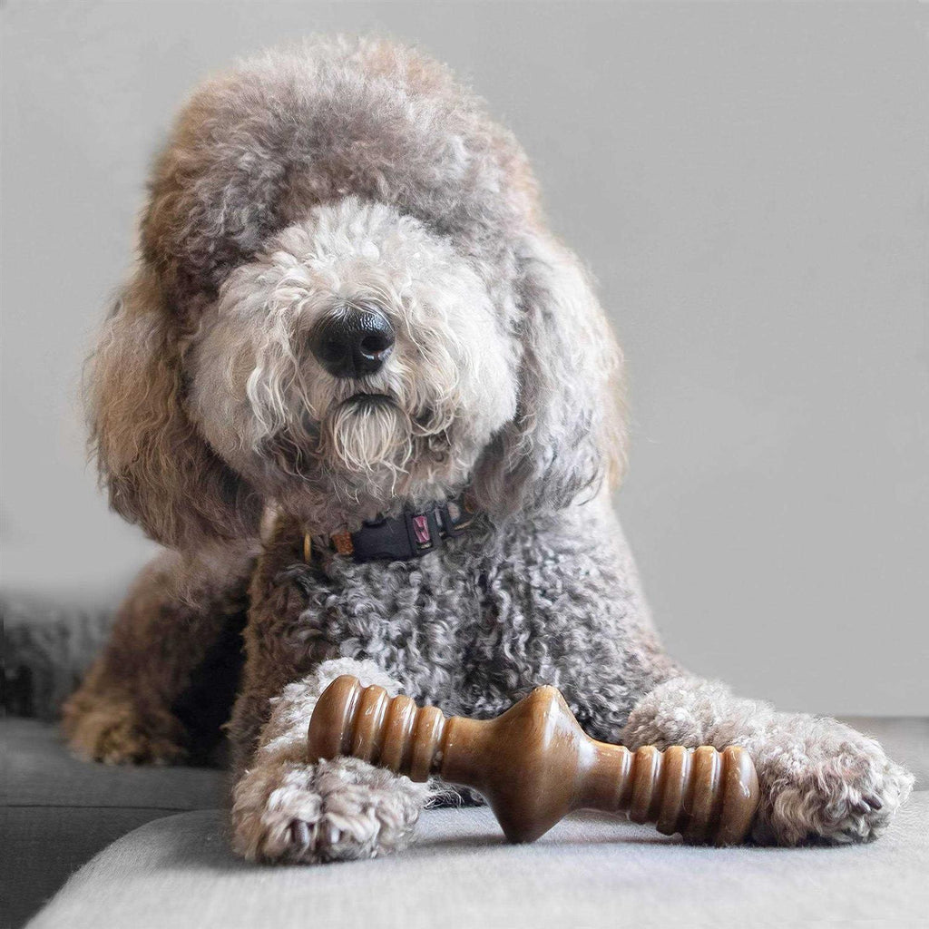 Chicken Dog Chew Toy N852