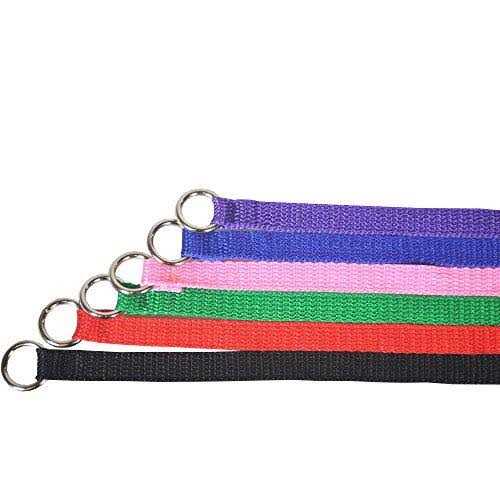 Dog Slip Lead Dog Leash E91240