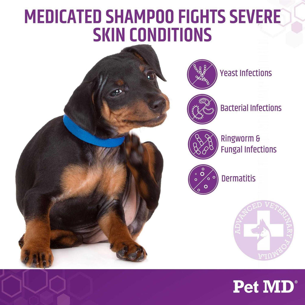 Medicated Shampoo for Dogs Y13045
