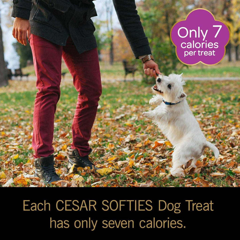 Dog Treats F632