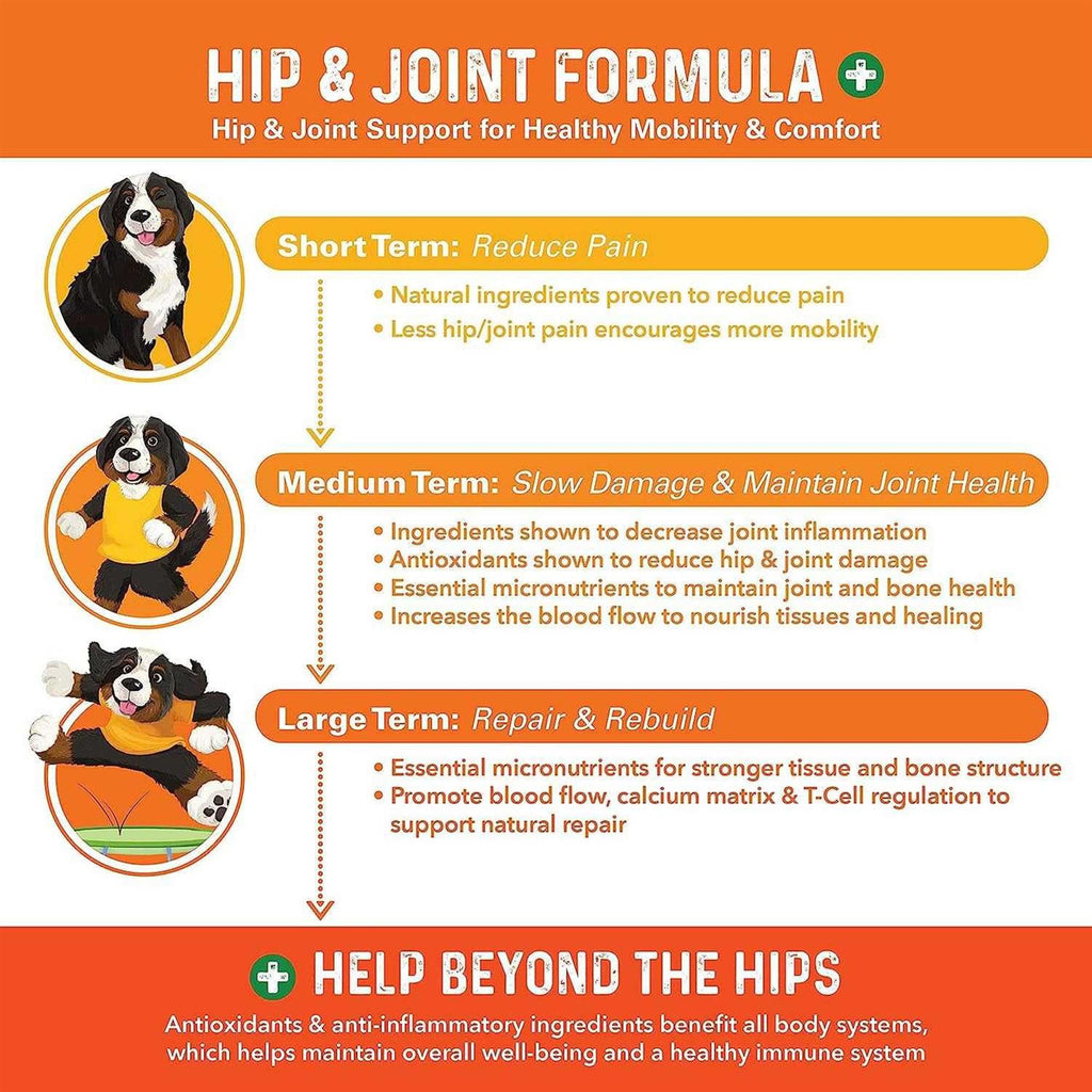 Dog Hip and Joint Supplement K81934