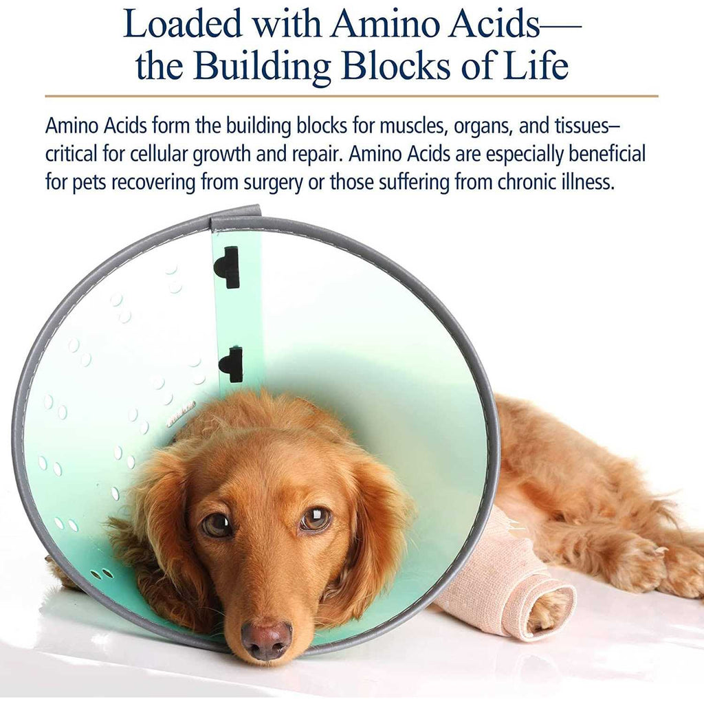 Amino B Plex for Pets M27058