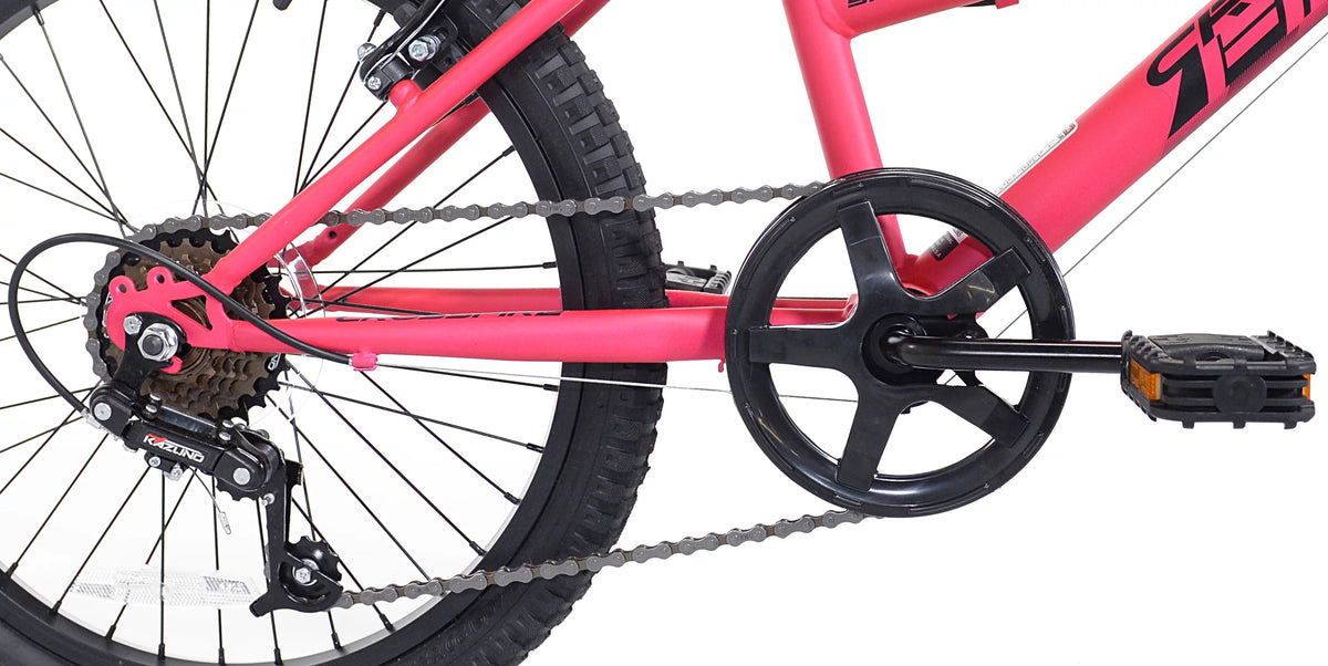 Pink Black 6-Speed Mountain Bike M462498