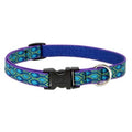 Dog Collar H2546