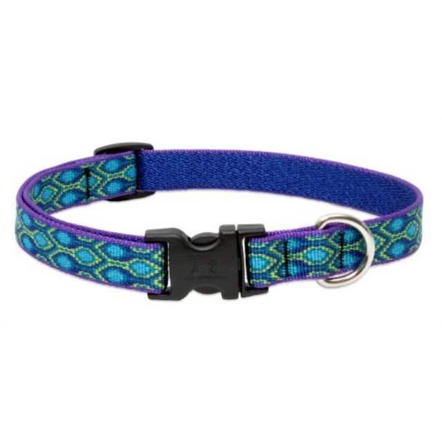 Dog Collar H2546