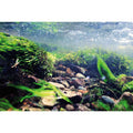 Reversible Aquarium Background K3755