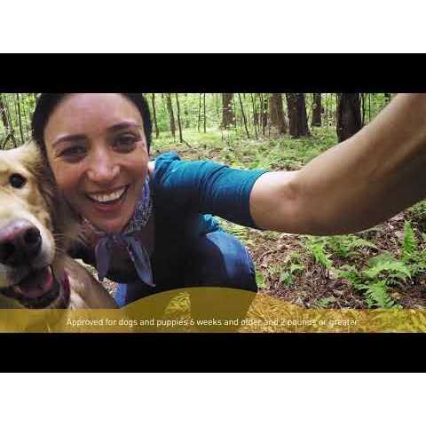 Interceptor Plus for Dogs H4556