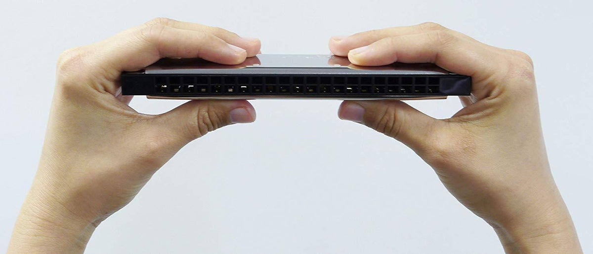 21 Hole Harmonica N2836