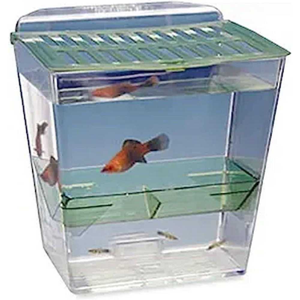 Home Goods T13766